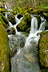 landscape;brook;Cascade-Waterfall;Cascade;water;Moss;Mossy;rocks;NH;Z7