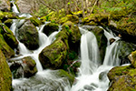 landscape;brook;Cascade-Waterfall;Cascade;water;Moss;Mossy;rocks;NH;Z7