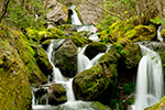 landscape;brook;Cascade-Waterfall;Cascade;water;Moss;Mossy;rocks;NH;Z7