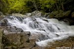 landscape;waterfall;Crystal-Cascade-Waterfall;Cascade;water;Pinkham-Notch;NH;D3X