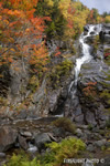 landscape;waterfall;Silver-Cascade-Waterfall;Cascade;water;foliage;Crawford-Notch;NH;D3X