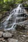 landscape;waterfall;Cloudland-Waterfall;Cloudland;water;Franconia-Notch;New-Hampshire;NH