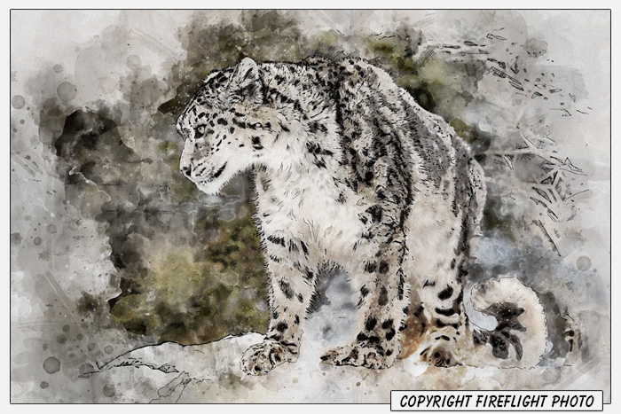 Snow Leopard Painting