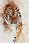 Siberian Tiger Painting