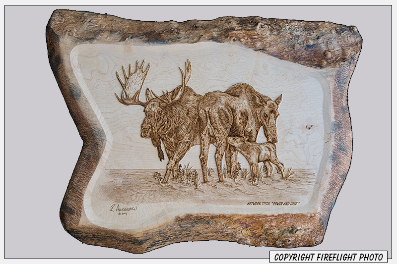 Moose Pyrography Full Image