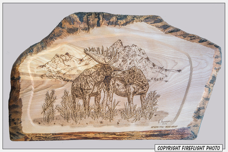 Moose Pyrography Full Image