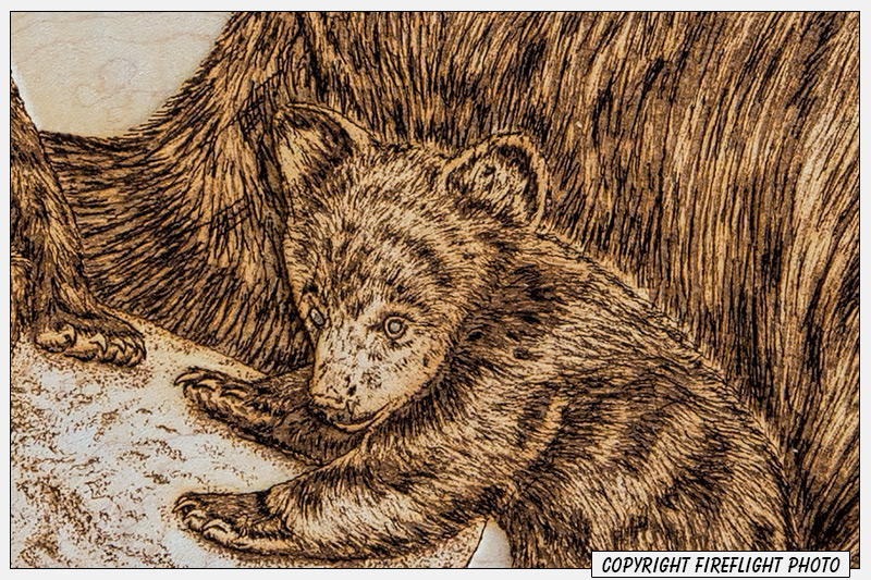 Black Bear Pyrography