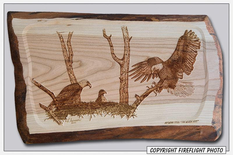 Bald Eagle Nest Pyrography Full Image